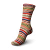 Regia 6f. Design roest