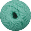 Merino Extrafine 170 mint
