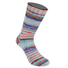 Cool Wool 4 Socks Color bleu