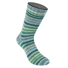 Cool Wool 4 Socks Color düne