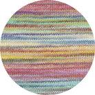 Lovis multicolor
