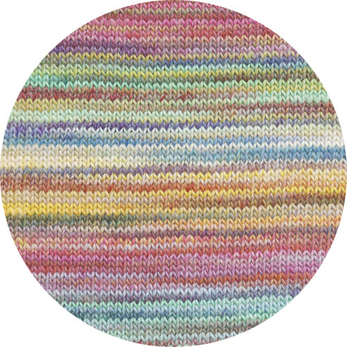 Lovis multicolor