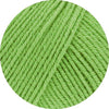 Elastico