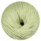 Mali kiwi