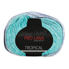 Tropical Color